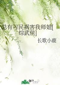 ���е��������ʦ��[������]