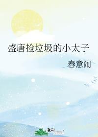 ʢ�Ƽ�������С̫��