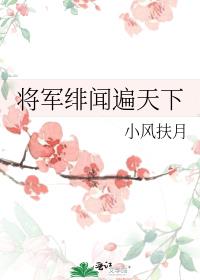 ������ű�����