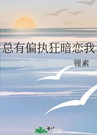 ����ƫִ������